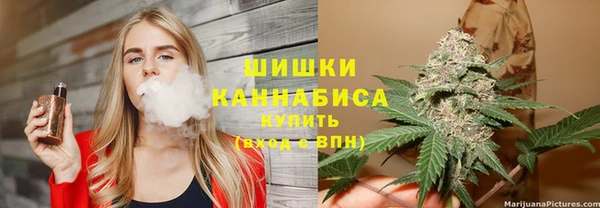МДПВ Навашино