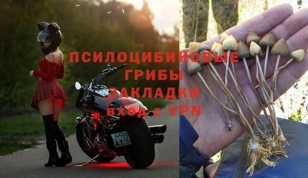 МДПВ Навашино
