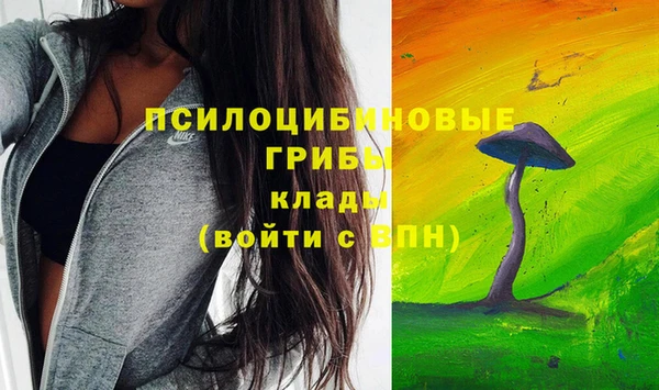 МДПВ Навашино