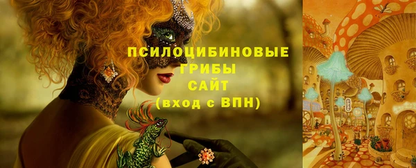 spice Михайлов