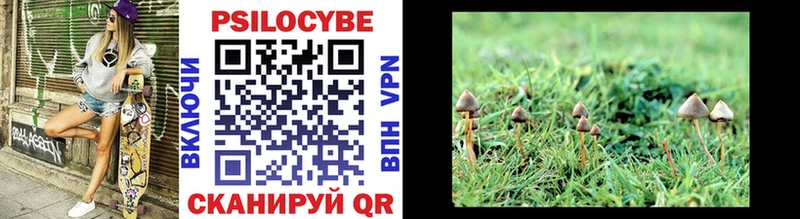 Галлюциногенные грибы MAGIC MUSHROOMS  сколько стоит  Магадан 