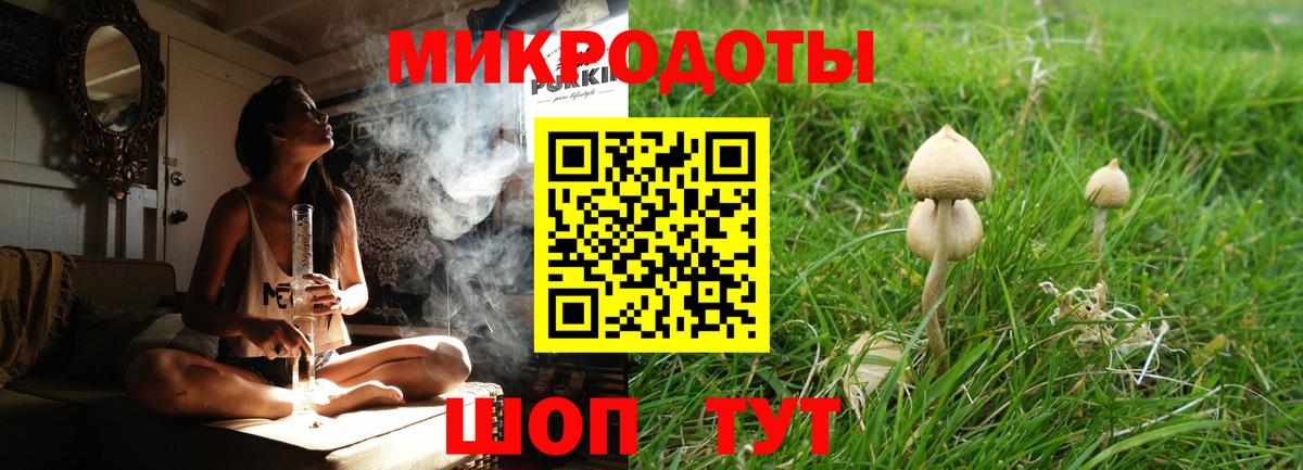 Галлюциногенные грибы Magic Shrooms Магадан